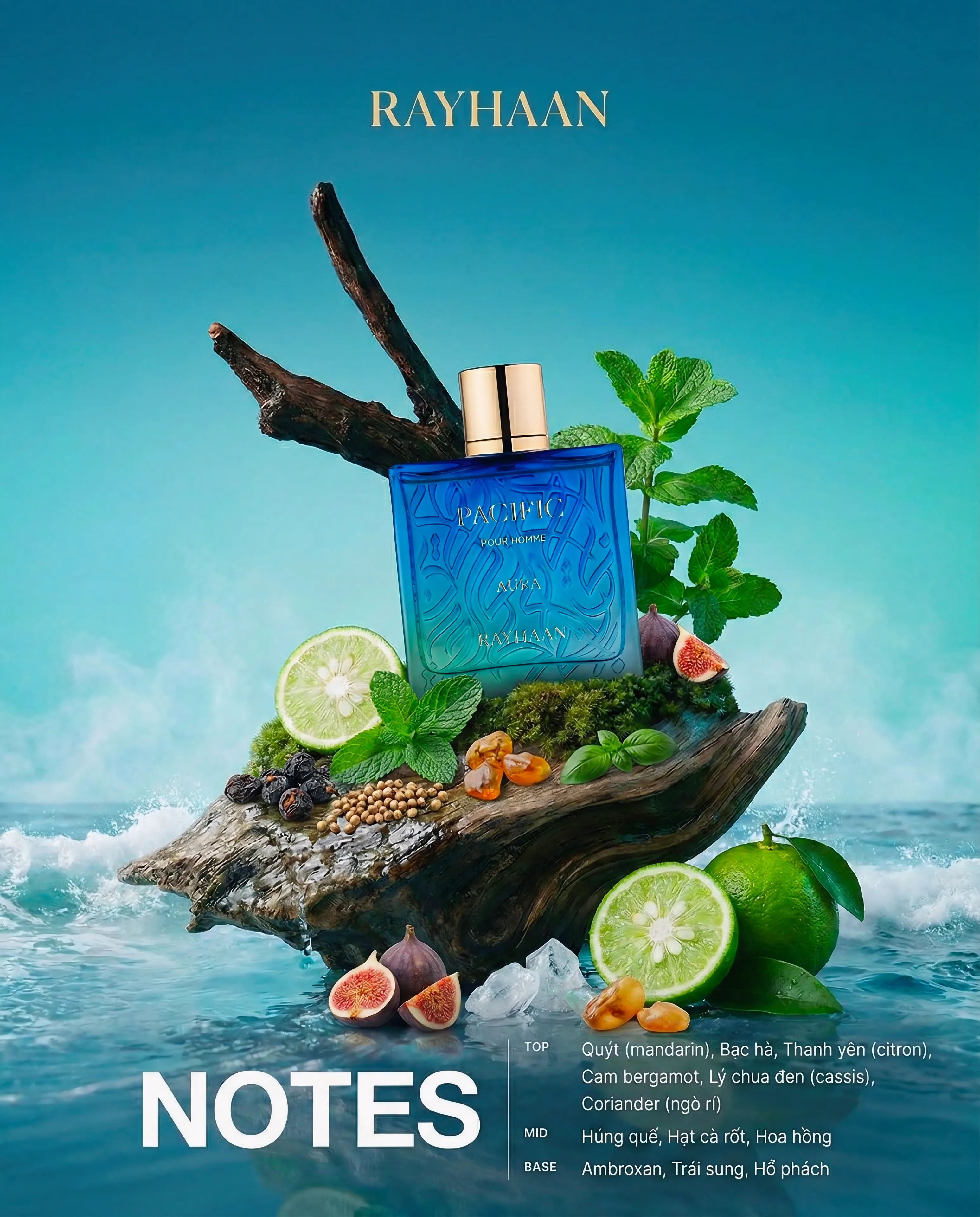 Pacific Aura Feature